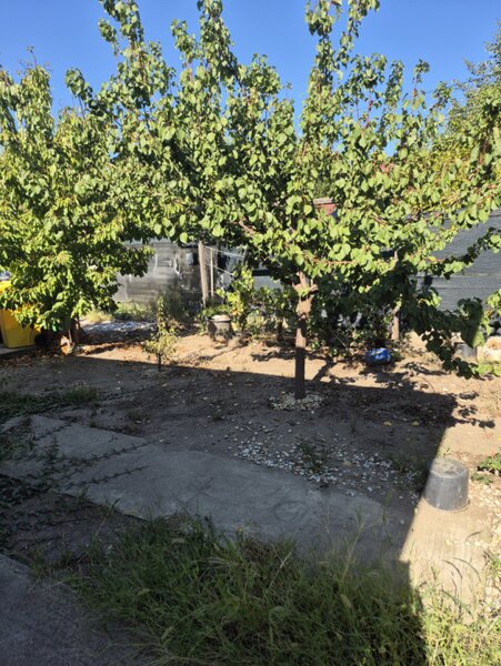 Domnesti, zona Craitei, Foisorului, casa individuala parter,